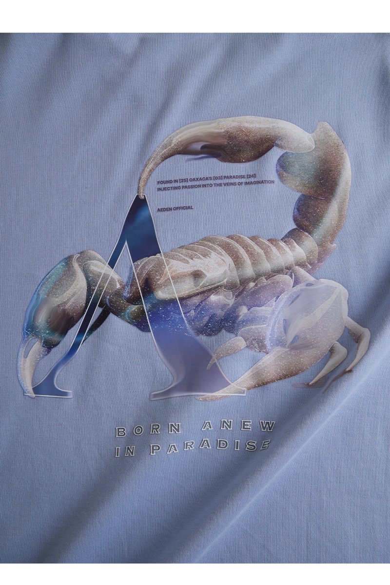 Aeden T-shirt Neo Tee L-blauw