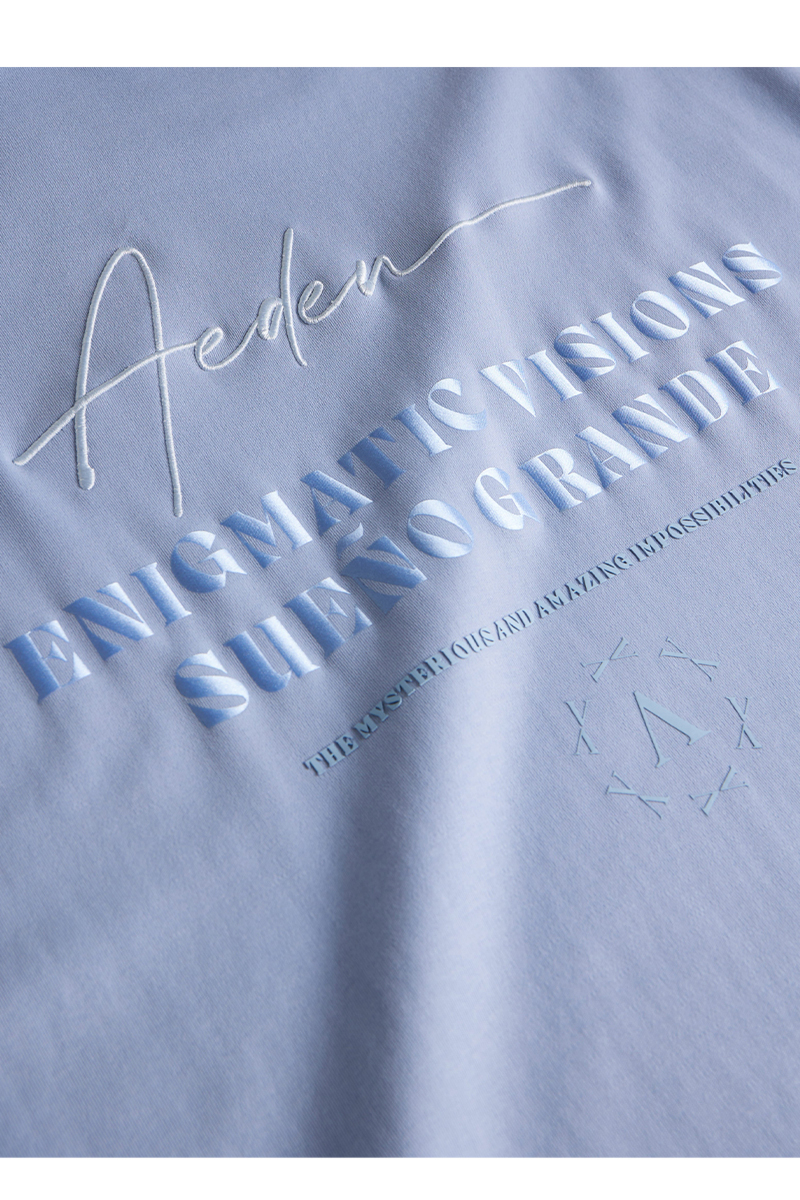 Aeden T-shirt Razz Tee L-blauw
