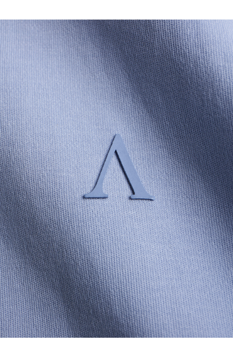 Aeden T-shirt Razz Tee L-blauw