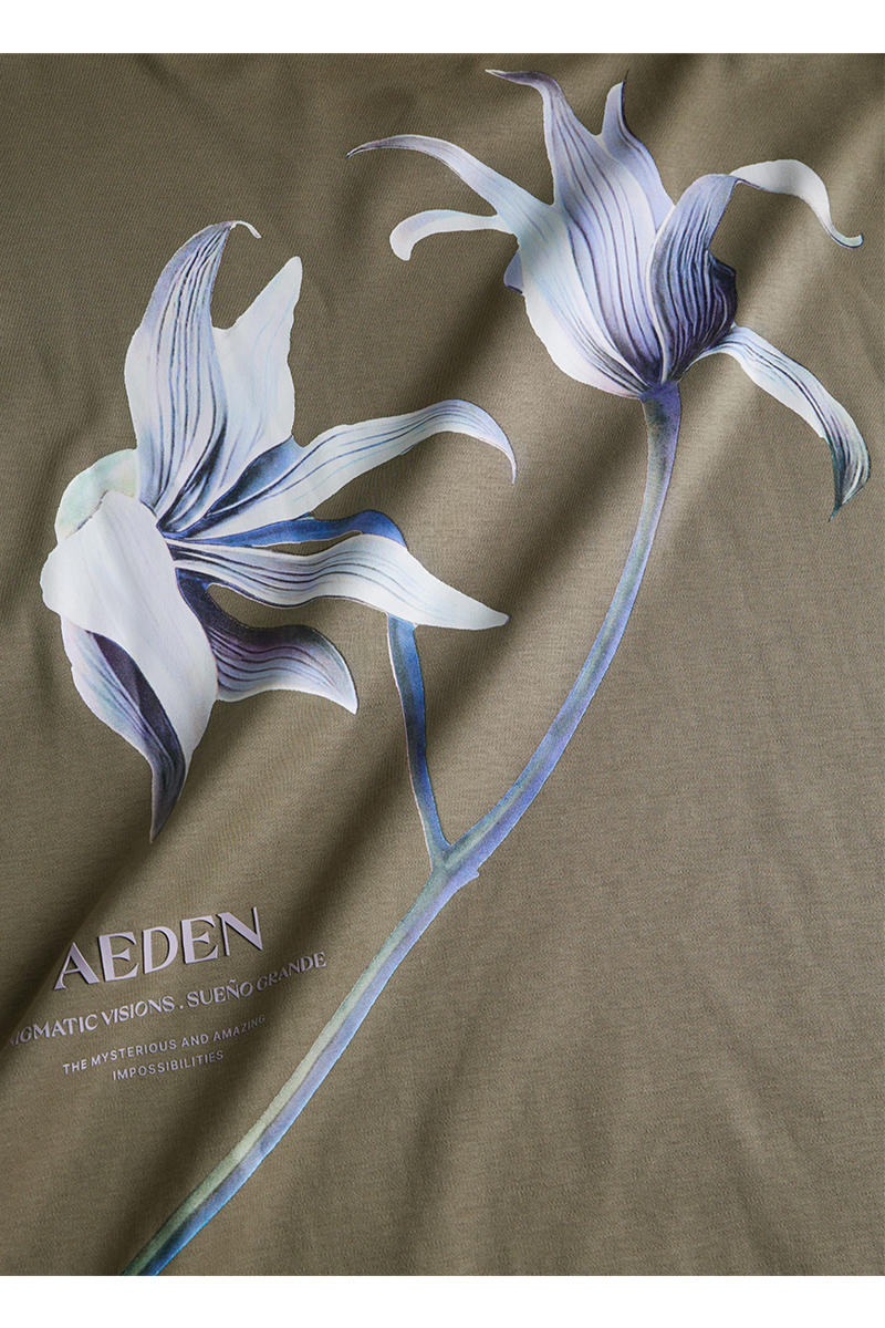 Aeden T-shirt Misty Tee Groen