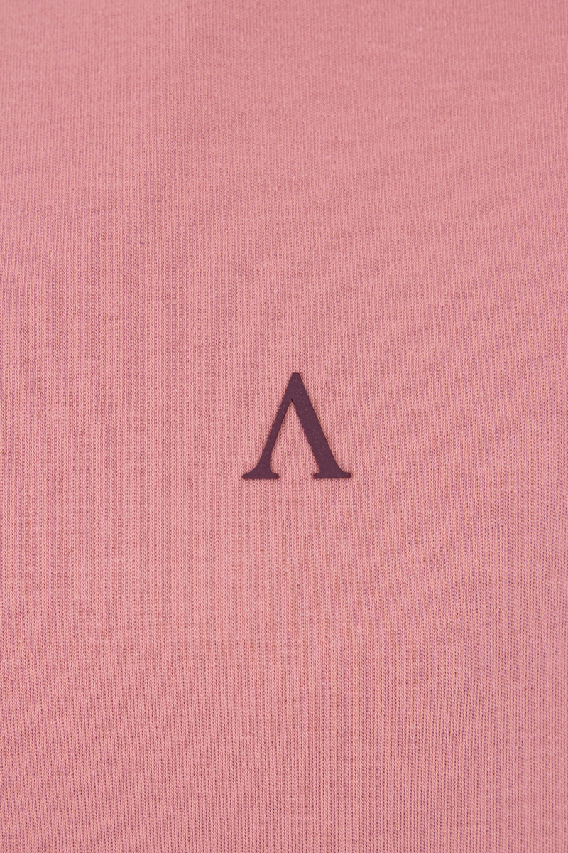 Aeden T-shirt Cyrus Roze