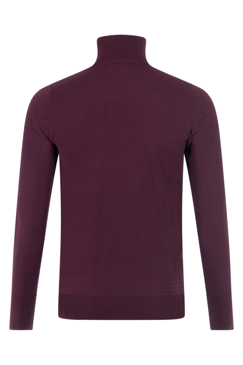 Aeden Trui Newton Bordeaux