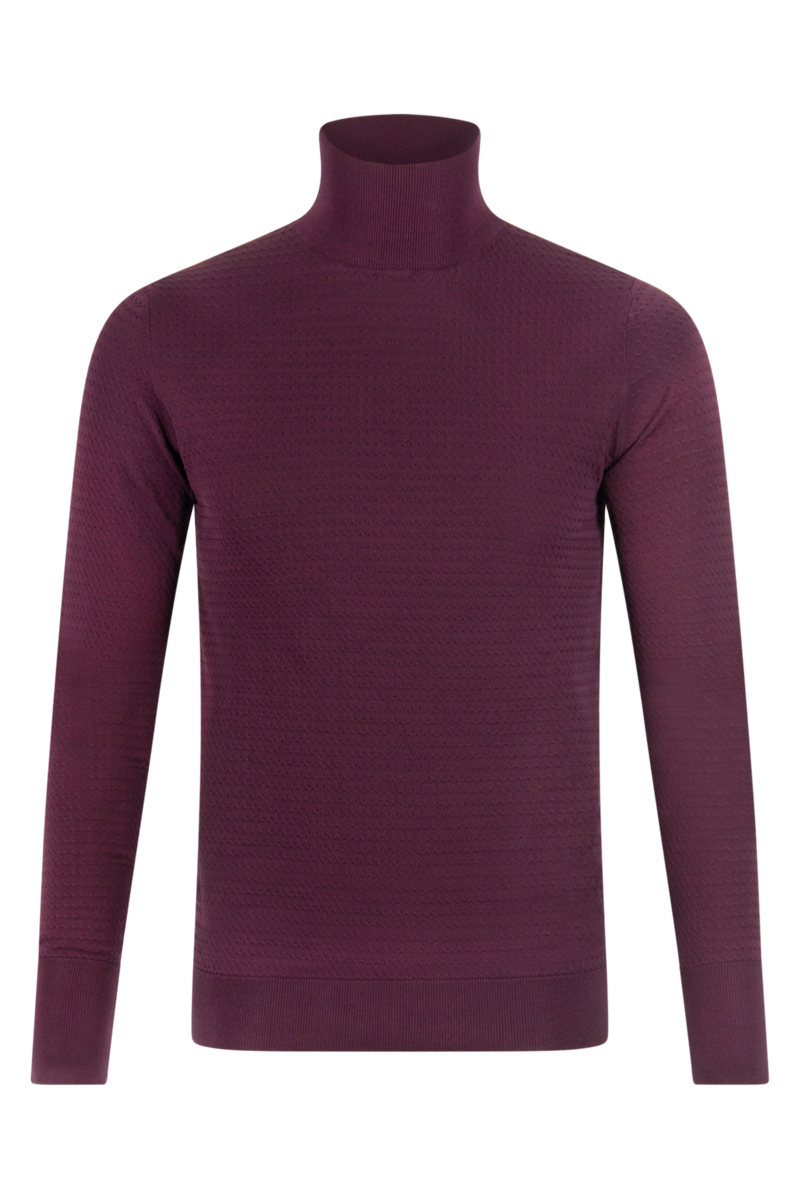 Aeden Trui Newton Bordeaux