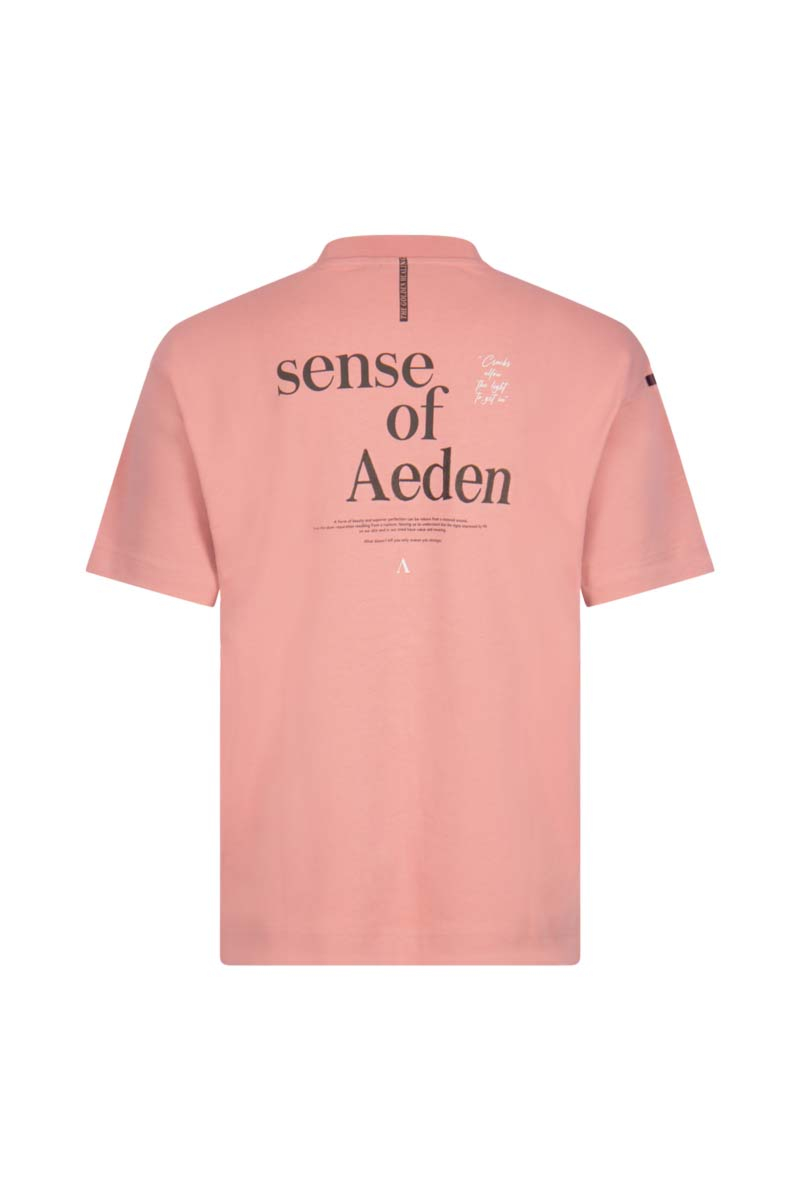 Aeden T-shirt Jelle D-roze