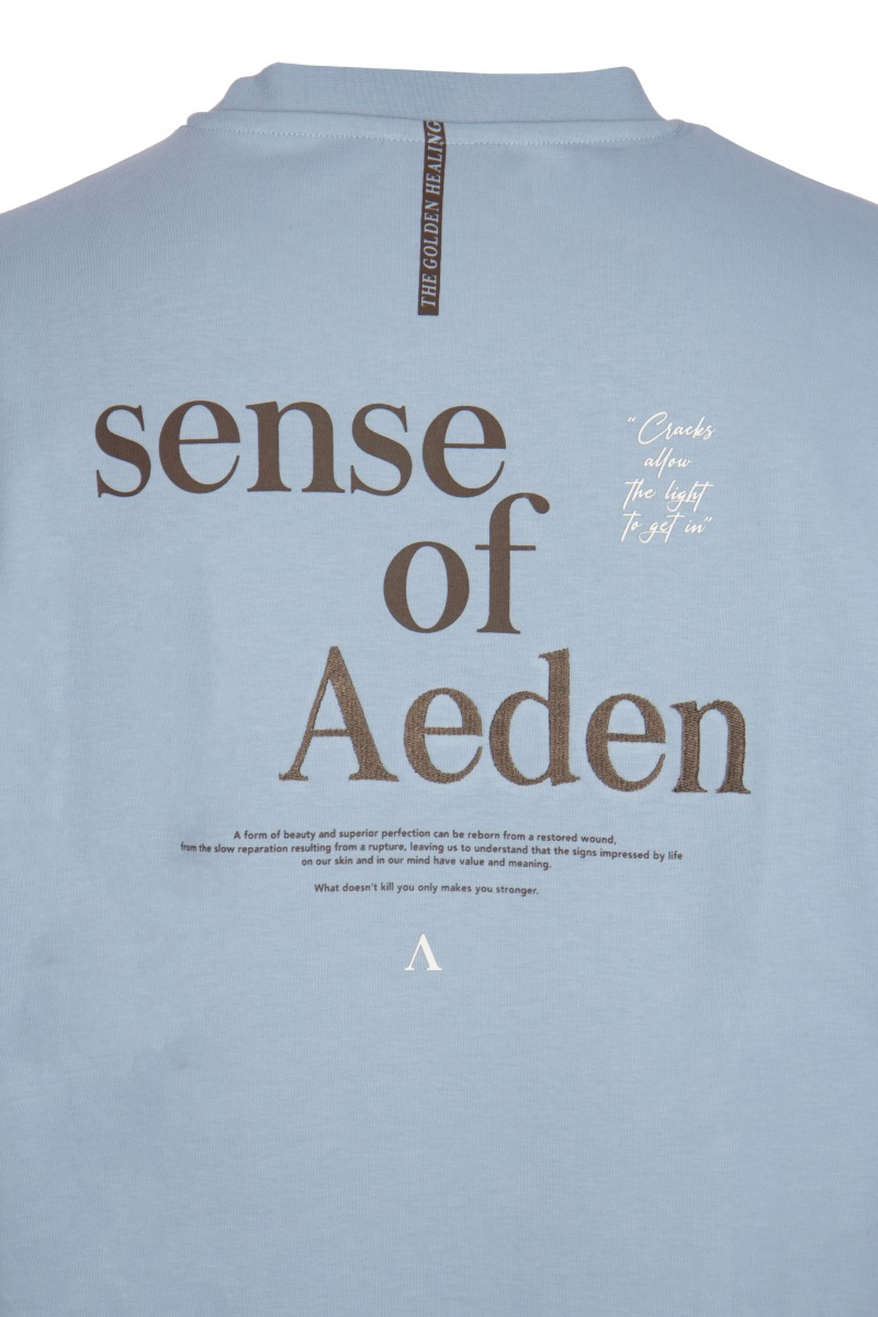 Aeden T-shirt Jelle L-blauw