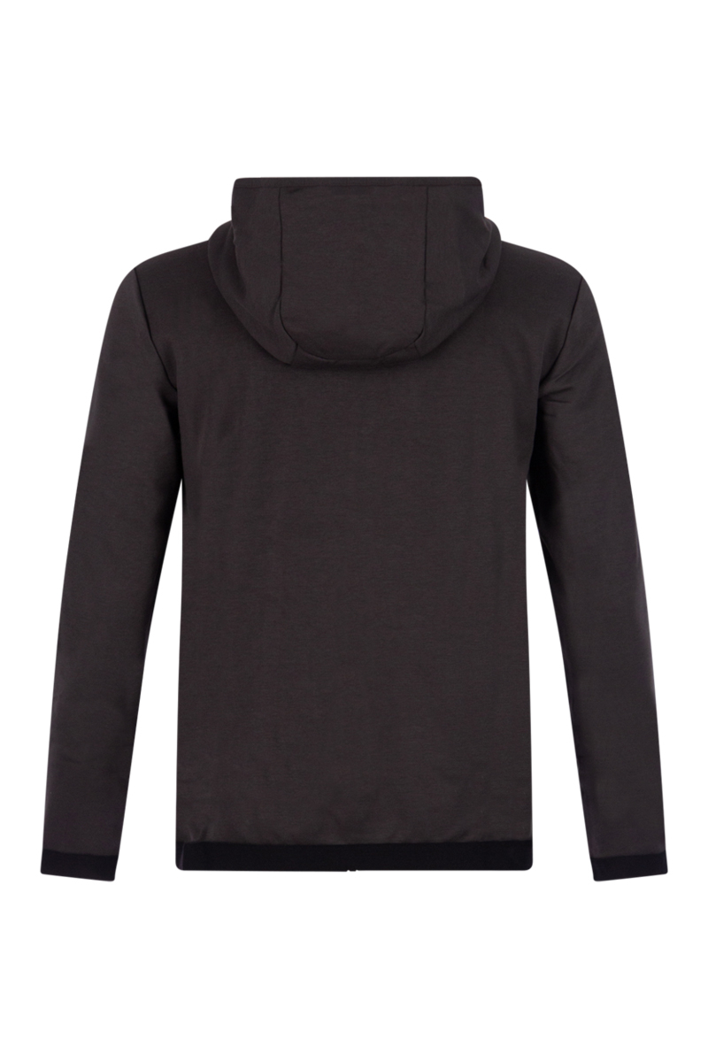 Ea7 Sweater Pjfaz 3rpm30 D-grijs