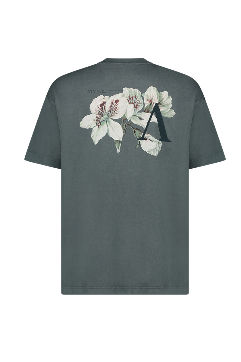 Aeden T-shirt Legend M-grijs
