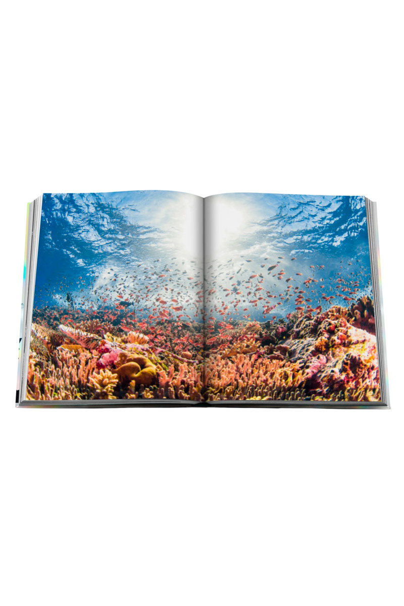 Assouline Boek The Coral Triangle Zilver